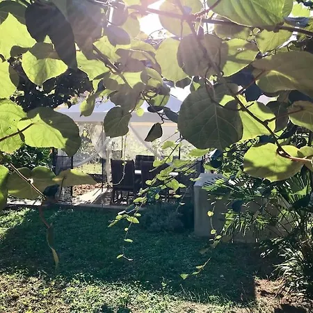 Apartment Garden Cozy *