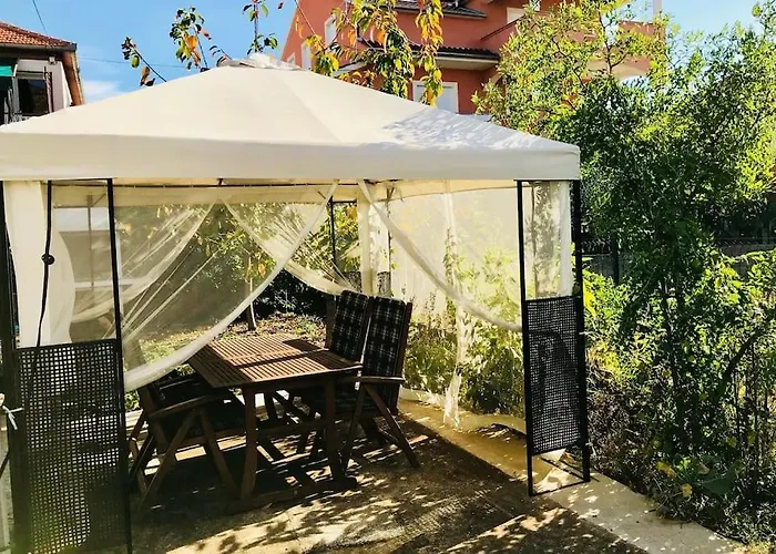 Apartment Garden Cozy